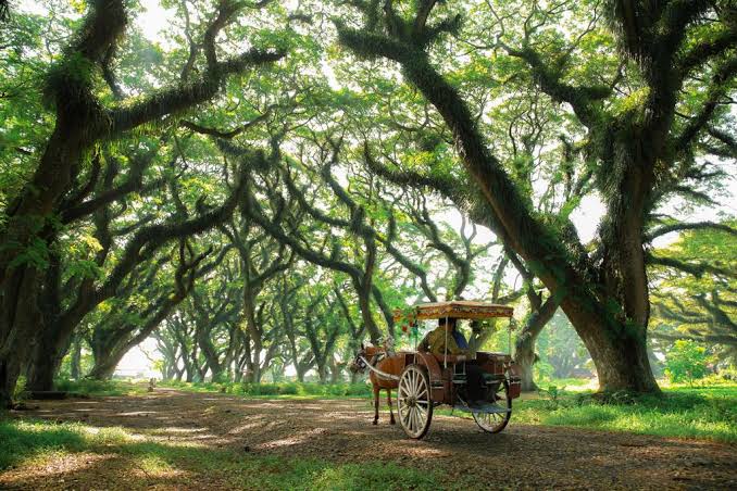 Rencanakan Liburan! Ini Jadwal Long Weekend Akhir Mei dan Awal Juni 2025