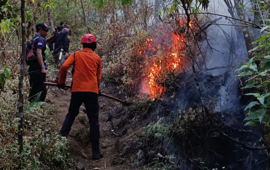 Karhutla Gunung Buthak di Batu Padam, Titik Api Masih Terdeteksi di Kawinajang