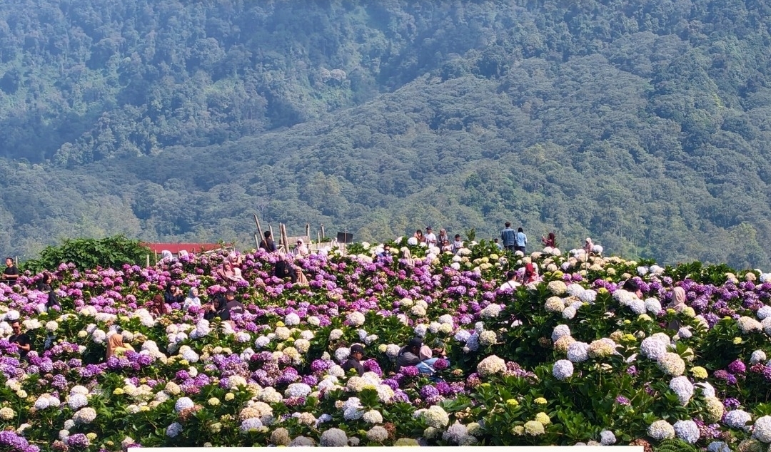 Songsong Hari Jadi ke-24 Kota Batu, Wali Kota Nurochman Tegaskan untuk Prioritaskan Wisata Hijau 