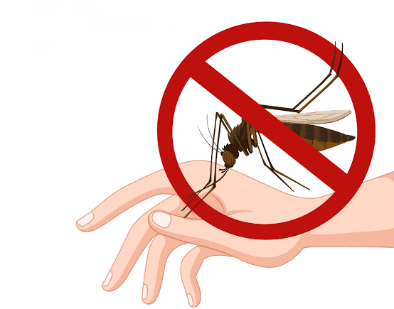 Awas, Jangan Sampai Kena DBD Lagi, Infeksi Kedua Bisa Lebih Mematikan