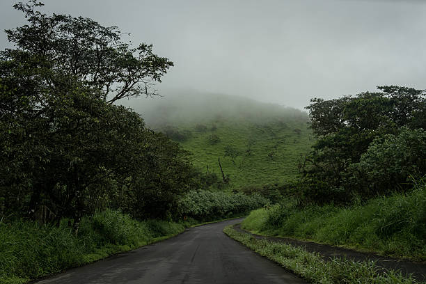 Prakiraan Cuaca Malang Raya 16 November: Hujan Ringan Mendominasi, Kota Batu Berkabut 