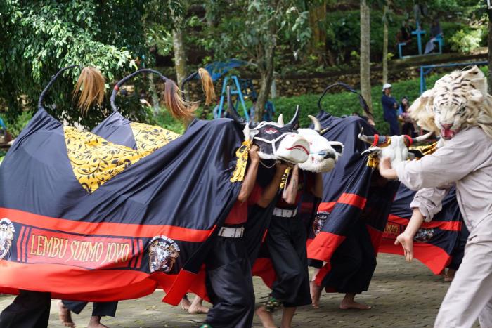 Mahasiswa KKM UIN Malang Awali Tahun Baru dengan Gelar Festival Mberot Bantengan