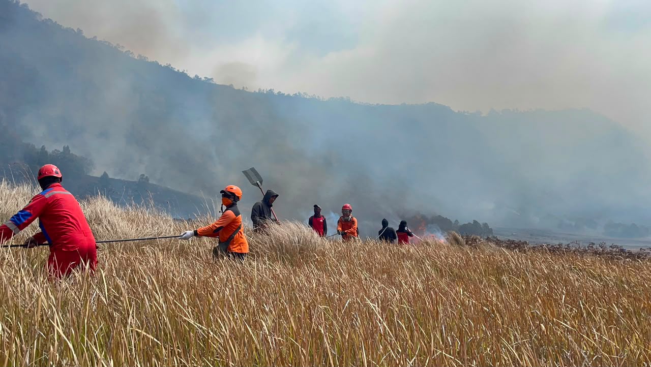 Tiket Bromo Kena Dampak Kebakaran? Refund dan Reschedule Dibuka hingga 31 Agustus