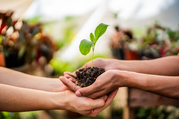 Hari Pohon Sedunia 21 November: 10 Tahun Terakhir, Kawasan Hijau Malang-Batu Tergerus Urbanisasi-Permukiman