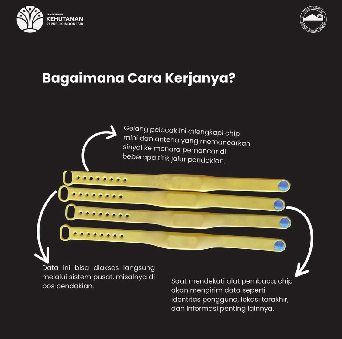 Naik Gunung Kini Wajib Pakai Gelang RFID! Ini 3 Gunung yang Sudah Terapkan Aturan Itu, Terbaru Rinjani