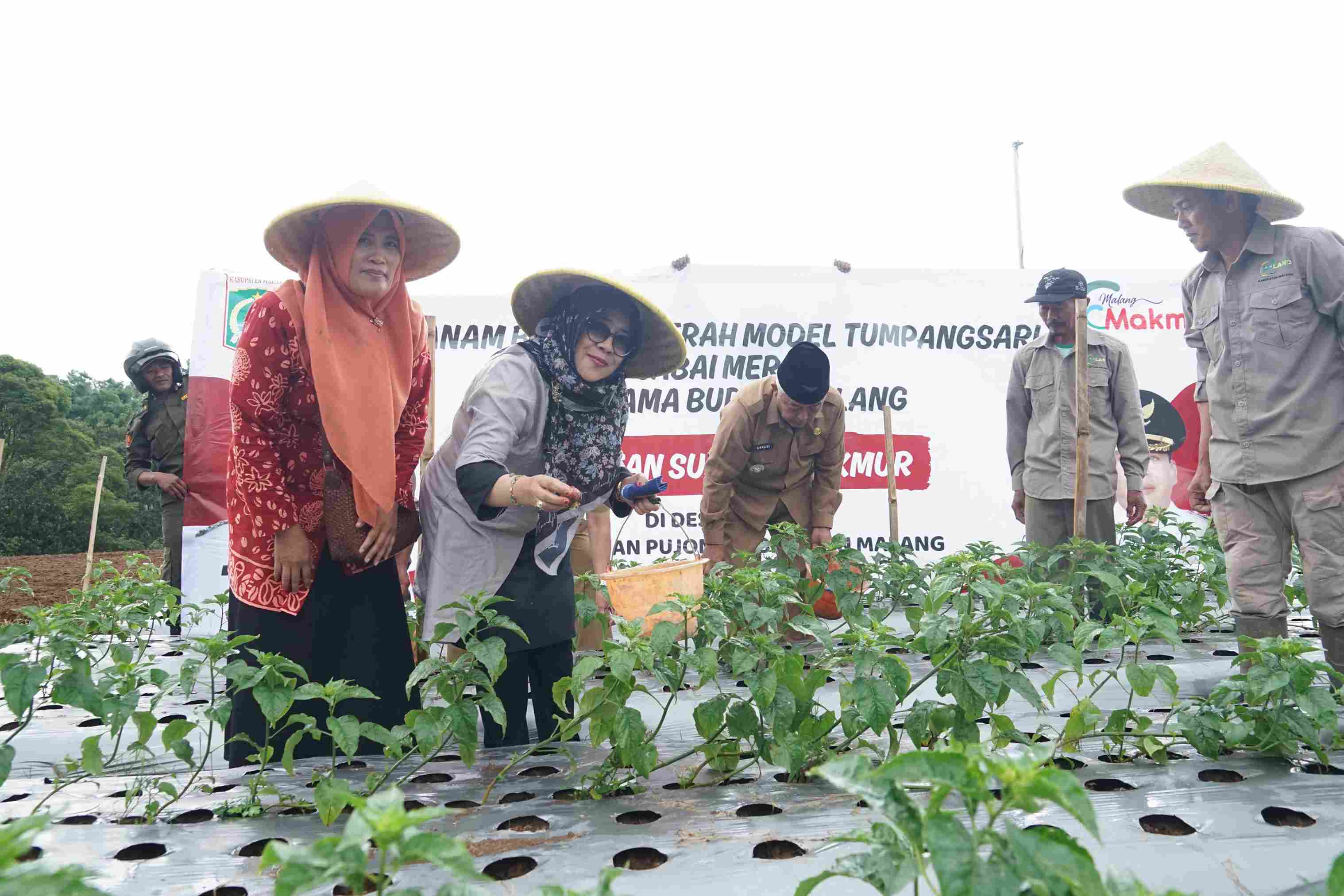 Sambang Desa, Bupati Malang Dorong Ketahanan Pangan di Kecamatan Pujon