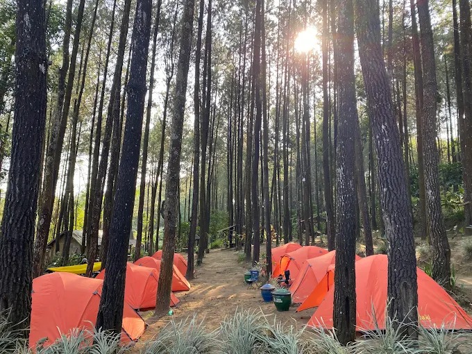 Camping di Lereng Semeru Mulai Rp5.000, Wana Wisata Winong Jadi Hidden Gem Baru Malang