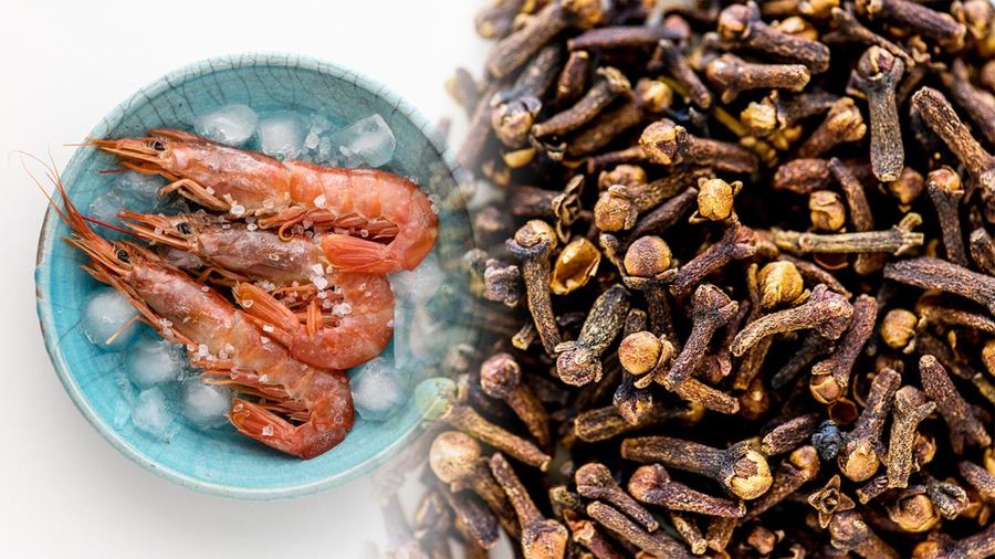 BPOM RI Duga Temuan Udang-Cengkeh Radioaktif oleh AS terkait 'Politik Dagang'