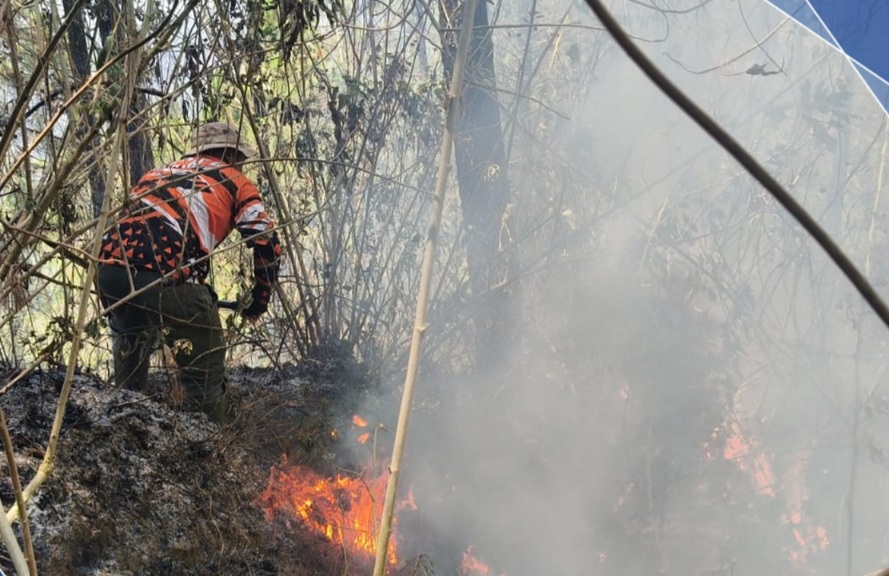 Karhutla Bumiaji Kota Batu Bakar 2,29 Hektare, Api Berhasil Dipadamkan sebelum Meluas