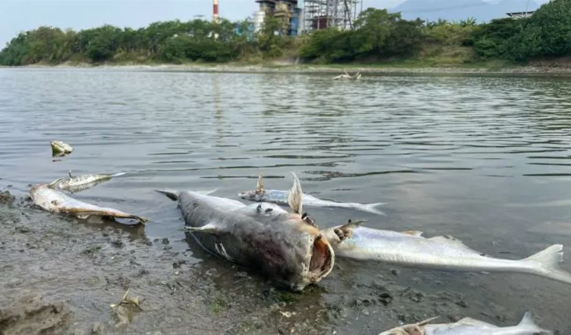 MA Tolak PK Menteri PU dan Gubernur Jatim dalam Kasus Sungai Brantas, Wajib Jalankan 10 Perintah Pemulihan
