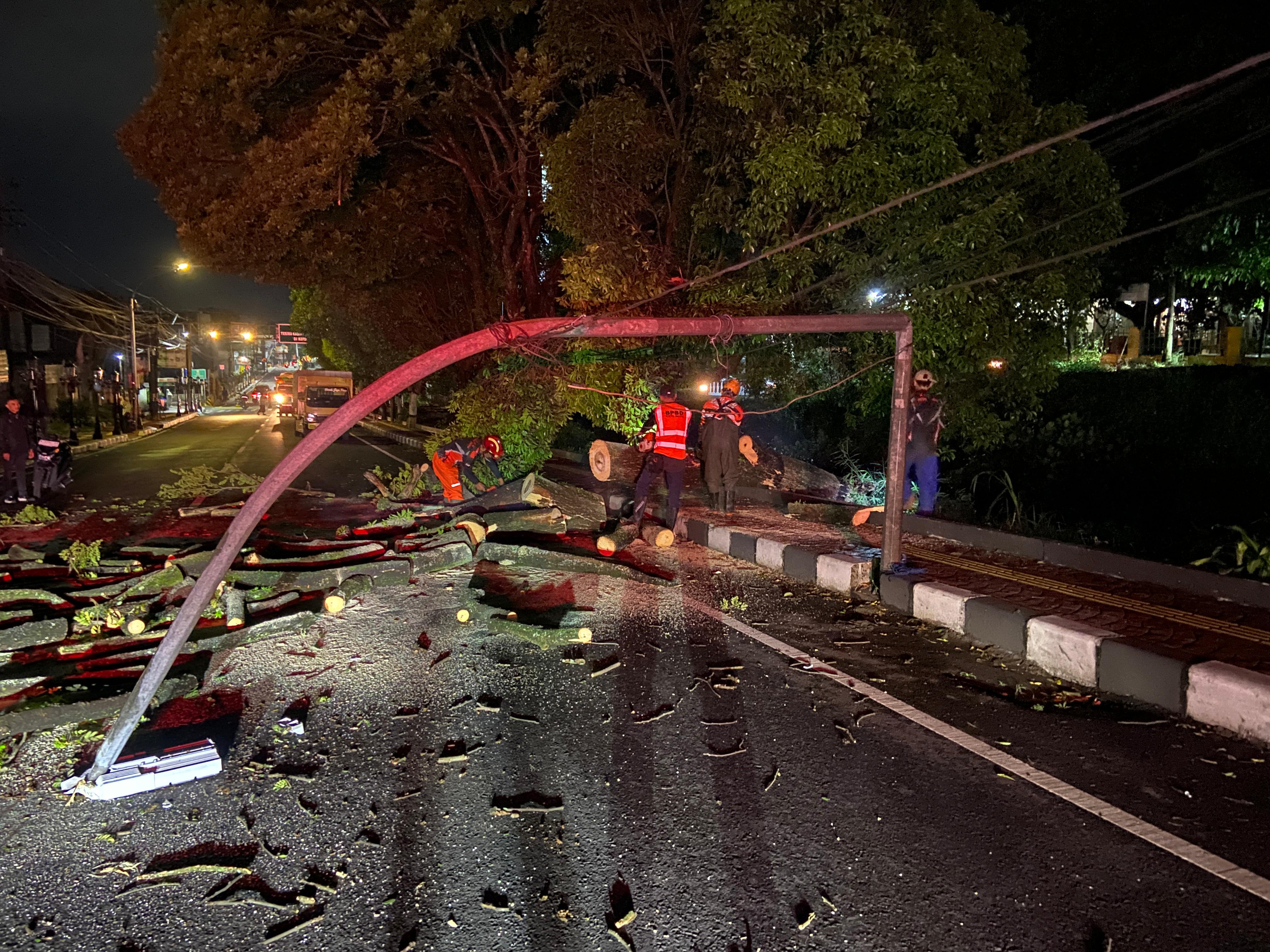 Pohon Trembesi Diameter 1 Meter Tinggi 15 meter Roboh di Tengah Jalan Patimura, Kota Batu