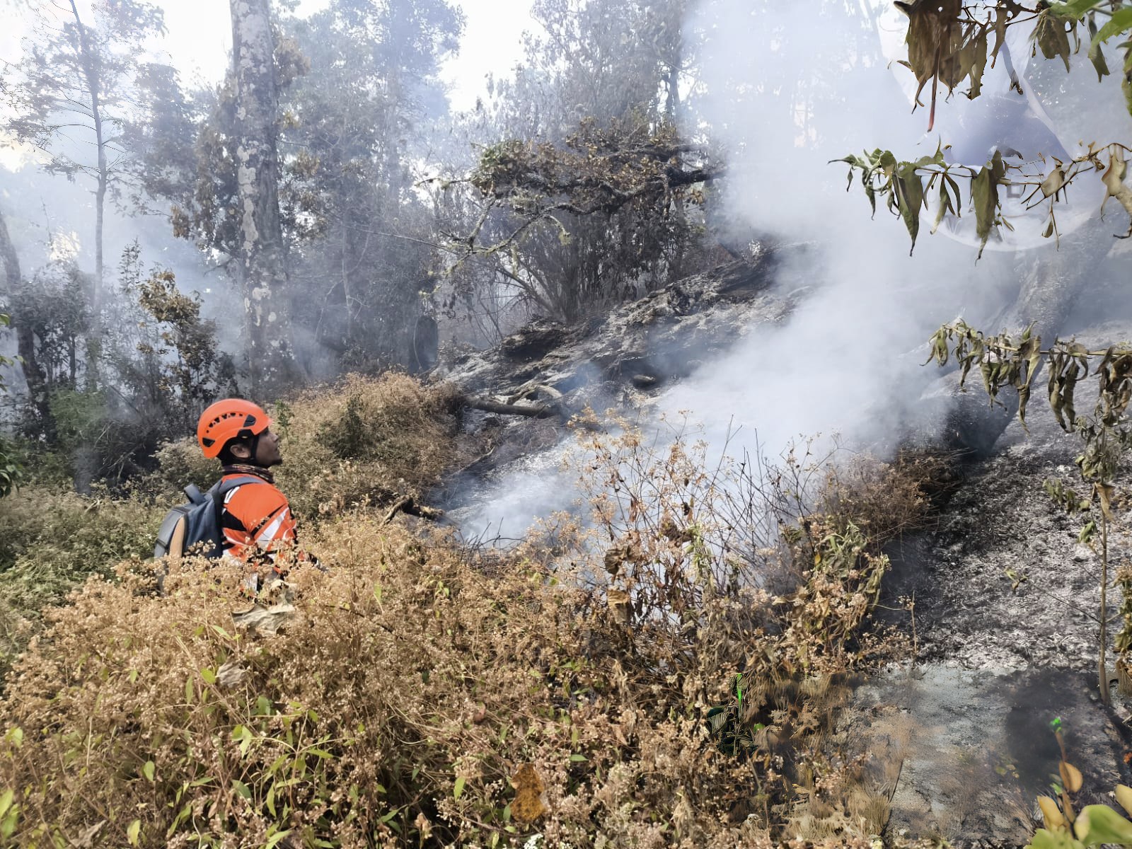 Warga Kota Batu Diimbau Waspadai Angin Kencang 12-14 September 2026