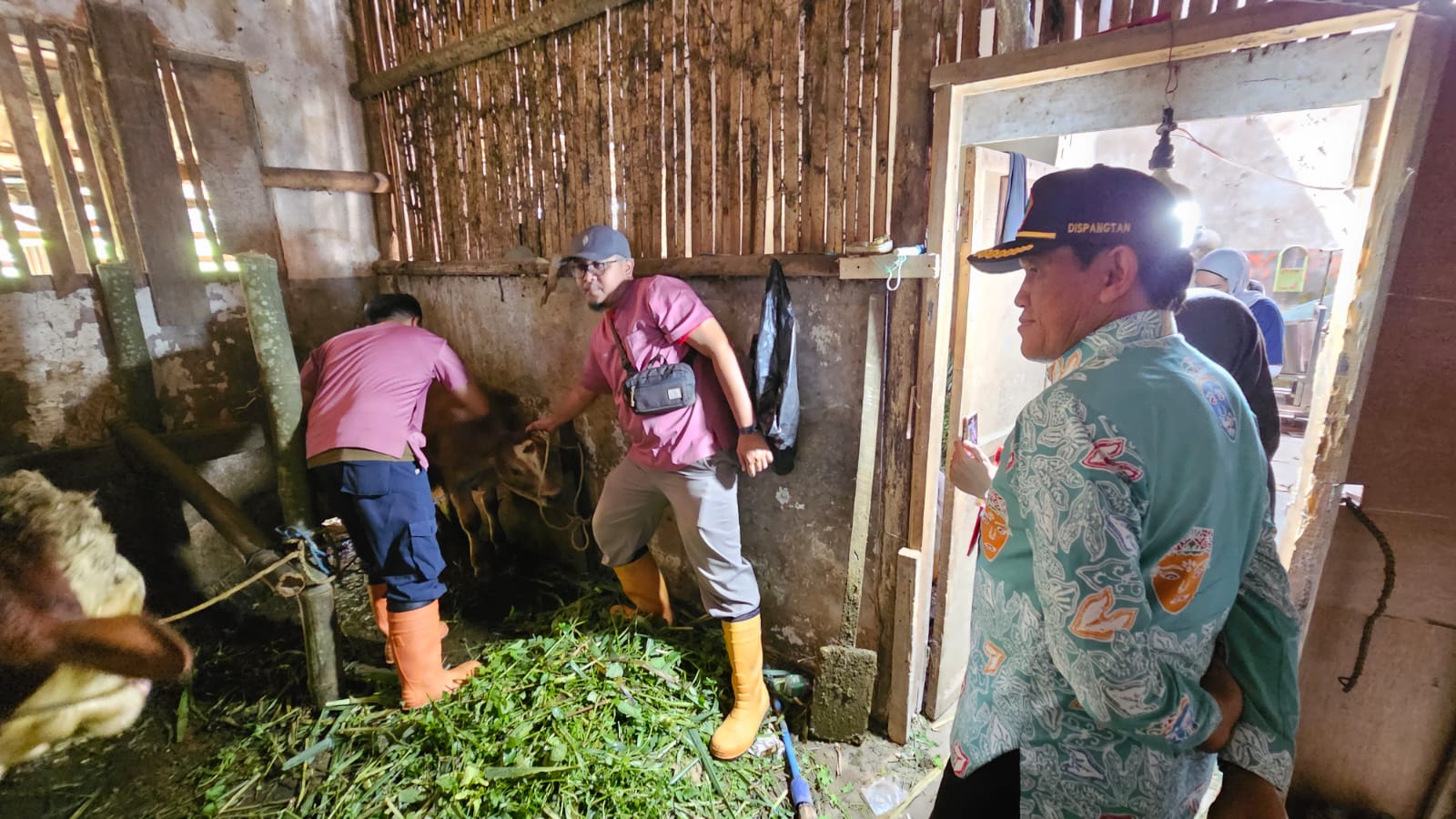 Gencarkan Vaksinasi, Kota Malang Sukses Kendalikan Kasus PMK