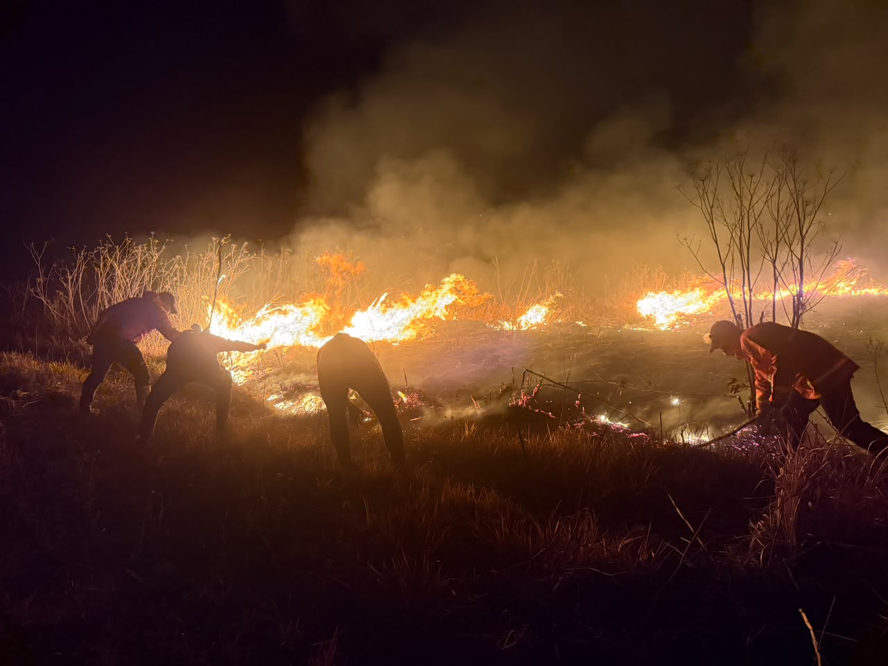 Kebakaran Bromo Berdampak ke Malang, Jemplang dan Coban Trisula Ditutup Total