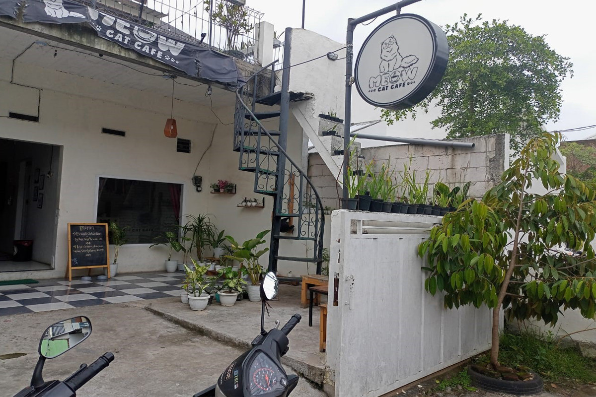 Meow Cat Cafe Malang: 'Ngafe' Nyaman Bersama Kucing-Kucing Menggemaskan