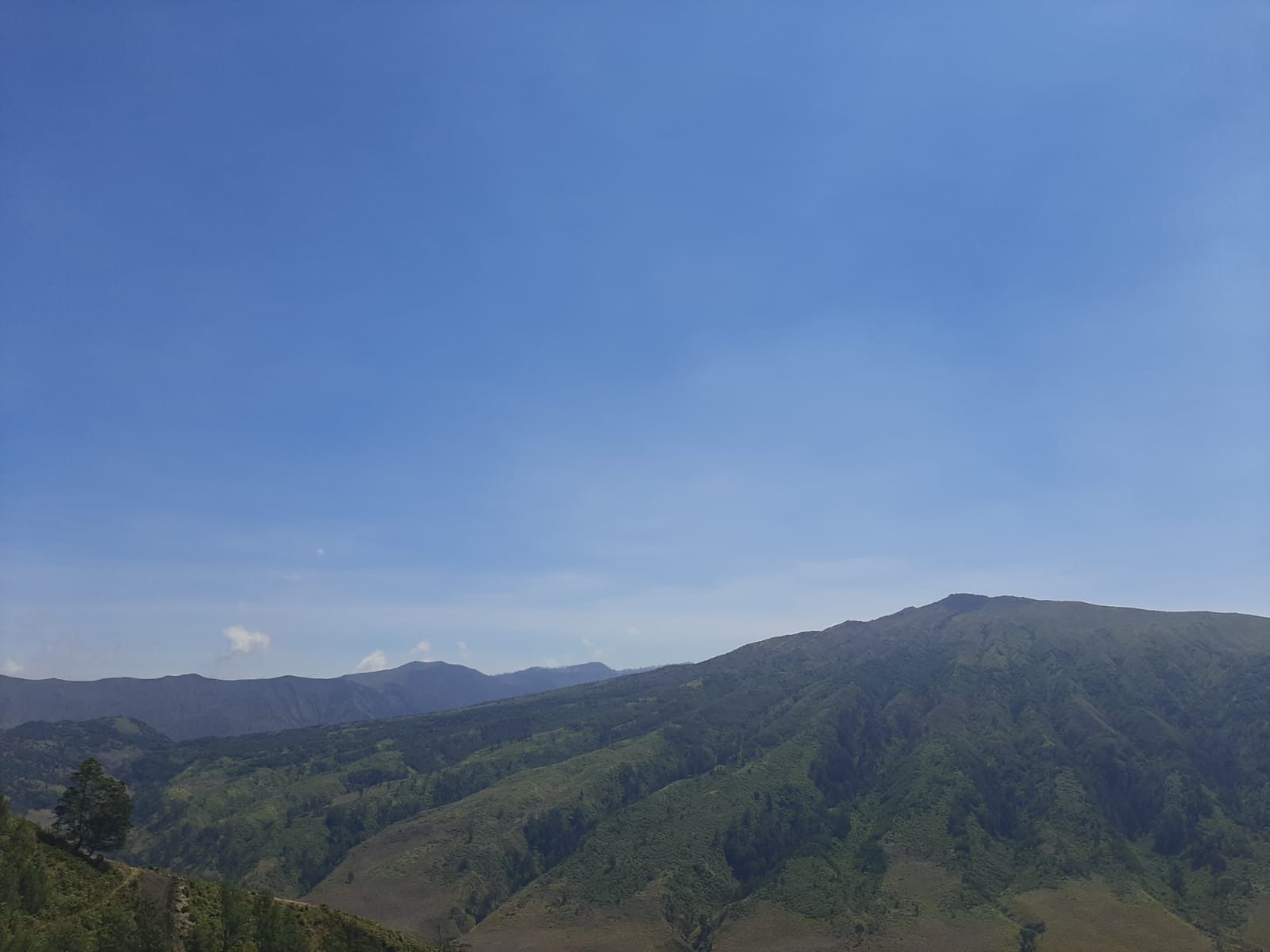 Cuaca Malang Raya 27 Agustus: Cerah hingga Kabut, Suhu 13-31°C