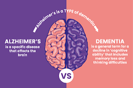Demensia dan Alzheimer Sering Dianggap Sama, Ternyata Berbeda! Ini Penjelasan Medisnya