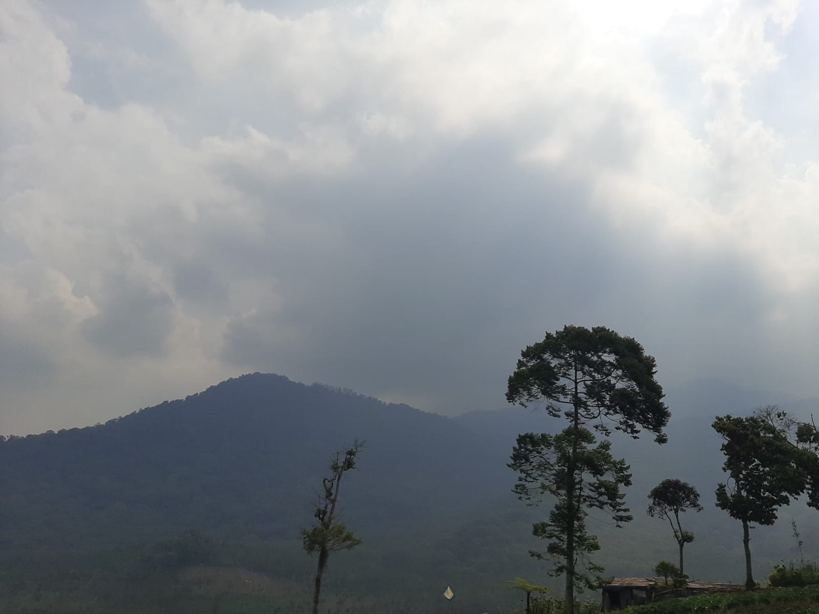 Cuaca Malang Raya Hari Ini 18 Agustus 2026: Malang Cerah Berawan, Batu Berkabut, Gelombang Selatan Capai 2,6 M