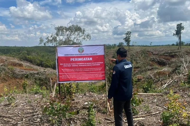 Disegel Kemenhut! 5 Lahan yang Diduga Tempat Pembalakan Liar Picu Banjir Sumatera