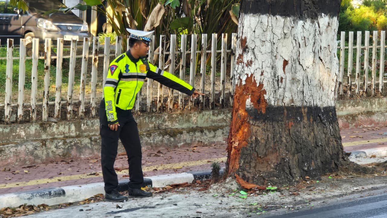 Kecelakaan Maut di Junrejo Batu, Pemotor Tewas usai Hantam Pohon