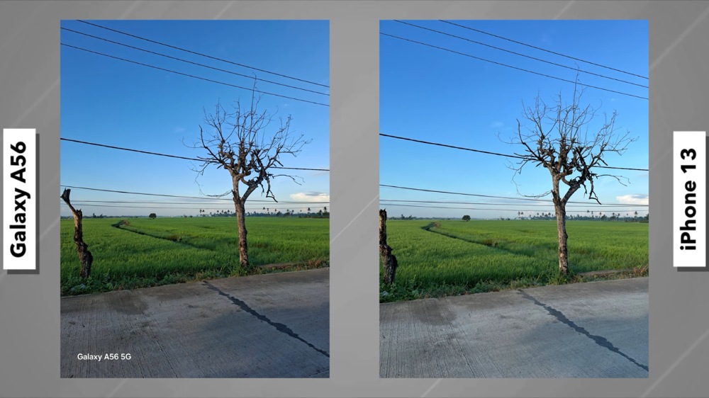Samsung Galaxy A56 vs iPhone 13, Adu Kamera Bikin Kaget! Foto Low Light A56 Unggul, Video iPhone 13 Terbaik