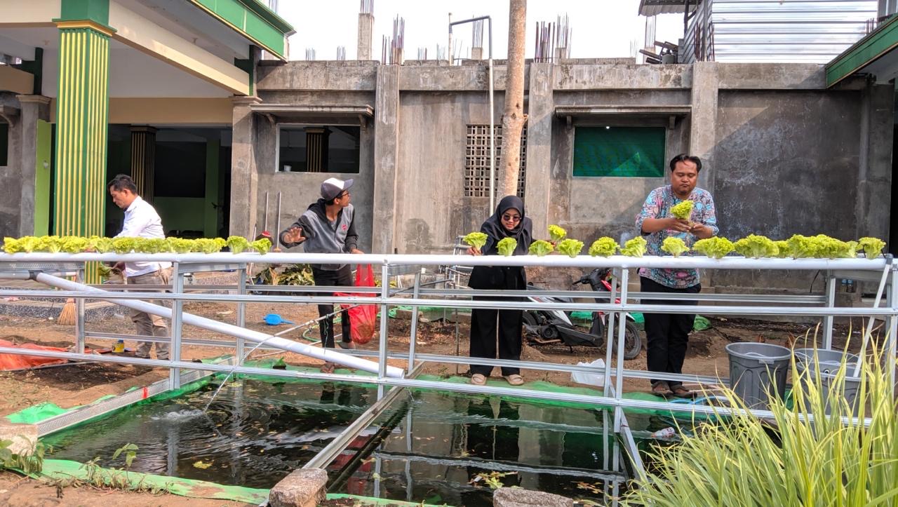 UM Terapkan Aquaponik Berbasis IoT di Pesantren Mambaul Abyad, Santri Dilatih Kelola Produksi Pangan