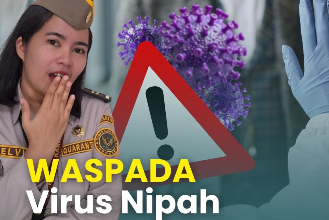 WHO Konfirmasi Temuan Virus Nipah di India, Belum Ada Antivirusnya, Indonesia Siaga