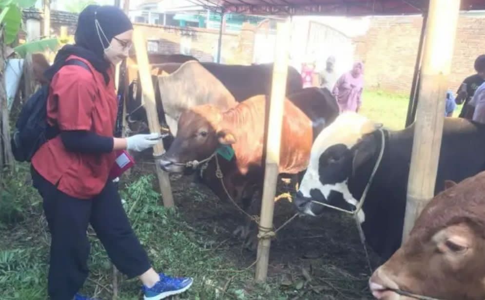 Antisipasi Penyakit Zoonosis, Pemkot Malang Gandeng FKH UB Turunkan Tim Dokter Hewan Jelang Idul Adha