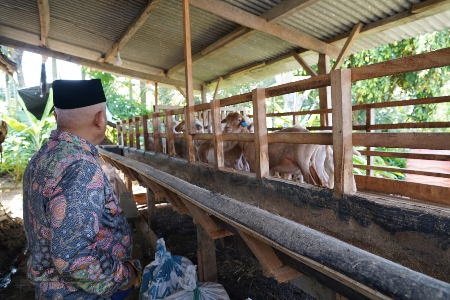 Peternak Domba Kabupaten Malang Sambut Baik Kebijakan Penghentian Sementara Impor Daging Domba