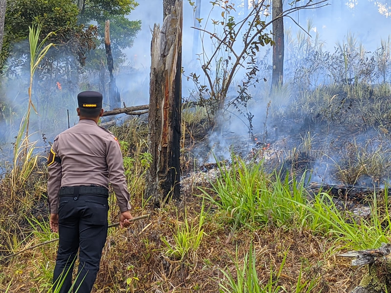 600 Meter Persegi Lahan Terbakar, Api Gunung Panderman Batu Berhasil Dipadamkan