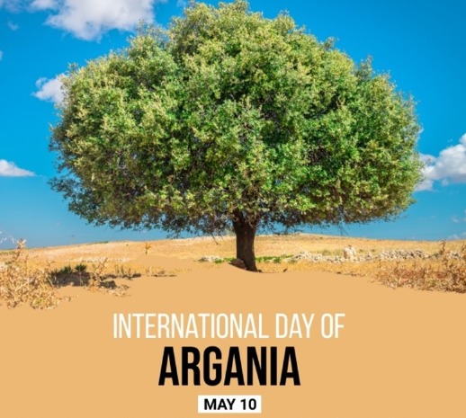 10 Mei Juga Hari Minyak Argan, Kenali 9 Manfaatnya bagi Kesehatan dan Kecantikan