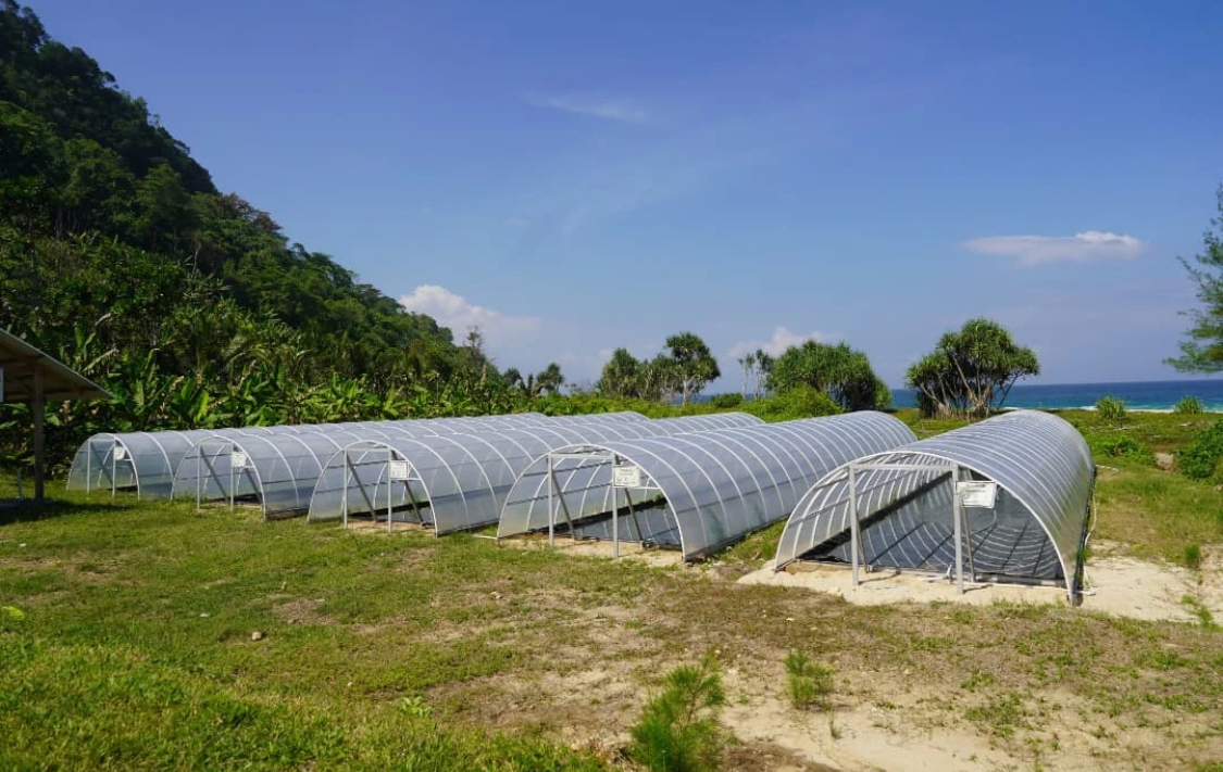 Produksi Garam Tunnel di Pantai Modangan Didorong Jadi Garam Industri, Target 100 Ton per Bulan