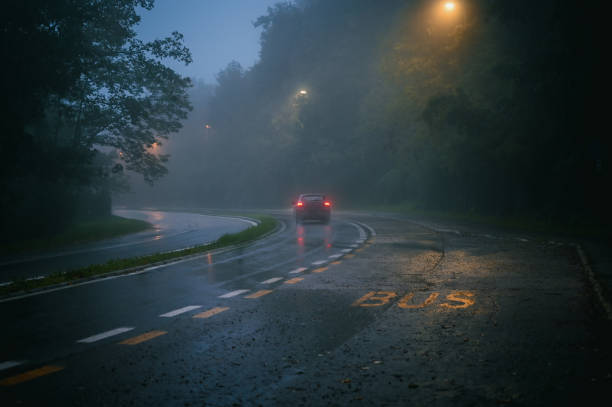 Prakiraan Cuaca Malang Raya 25 November: Diliputi Kelembapan Ekstrem, Pola Menuju Puncak Musim Hujaan