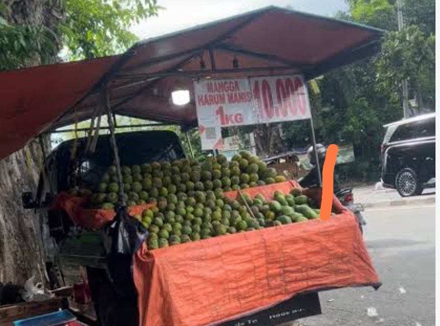 7 Cara Memilih Mangga Manis dan Matang, Jangan Terkecoh Warna Kulit