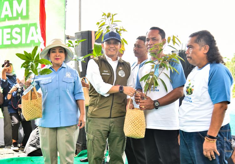 28 November Hari Penanaman Pohon Indonesia, 12 Juta Hektare Lahan Kritis di Indonesia Butuh Dipulihkan  