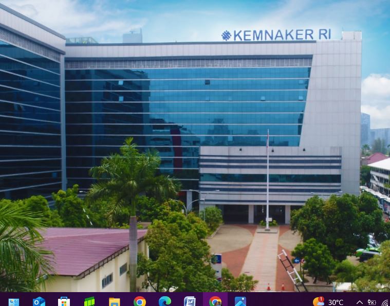 Fresh Graduate Minat Ikut Program Magang Nasional? Ini Jadwal dan Mekanismenya 