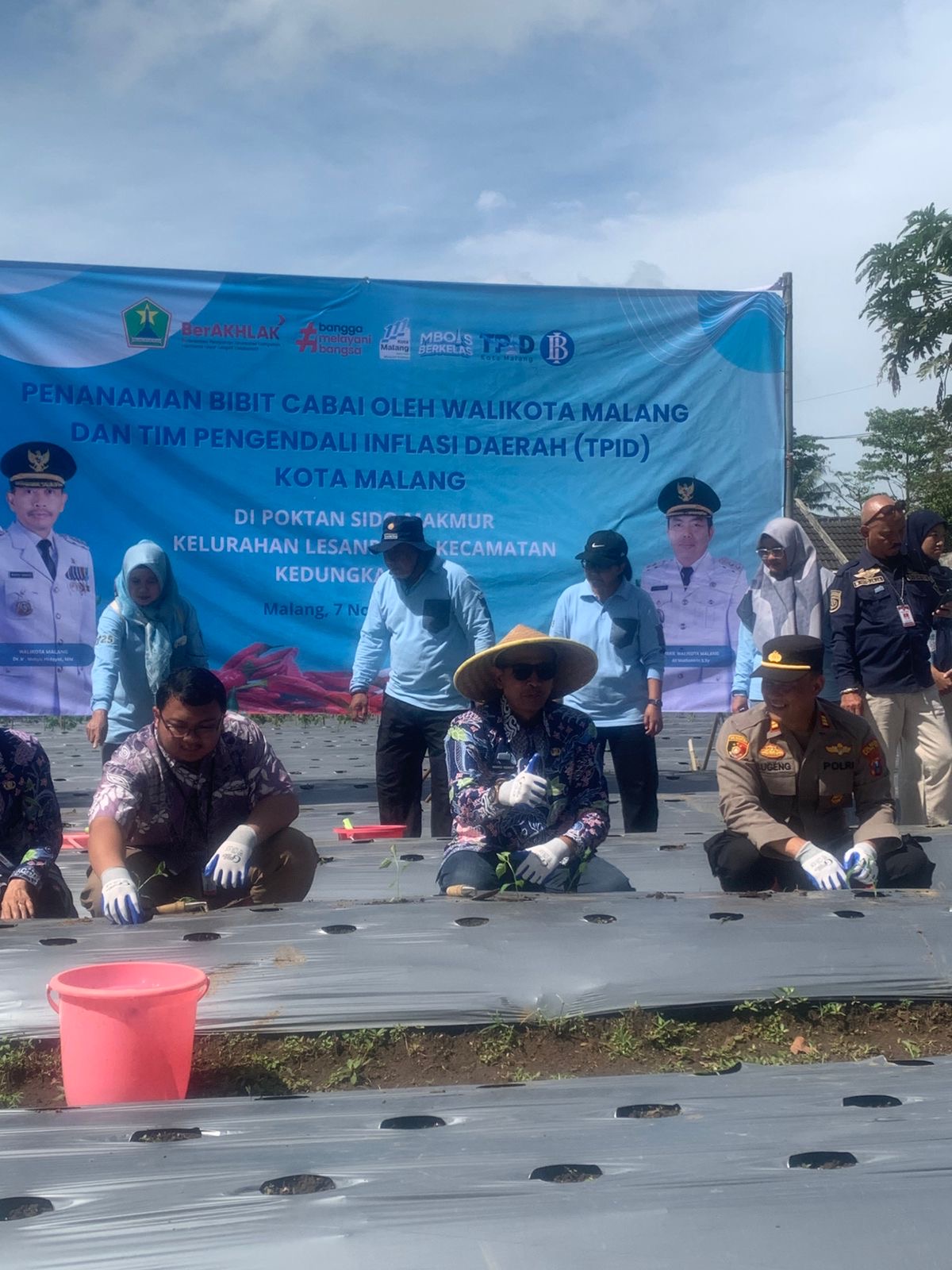 Dispangtan Malang Gerak Cepat: Produksi Cabai Digenjot Tekan Inflasi