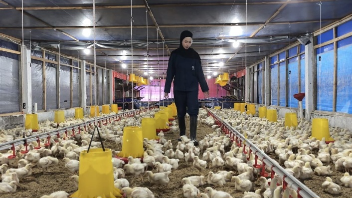 Jembatani Riset dan Industri, FAST UB Sukses Hilirisasikan 9 Inovasi Peternakan Modern