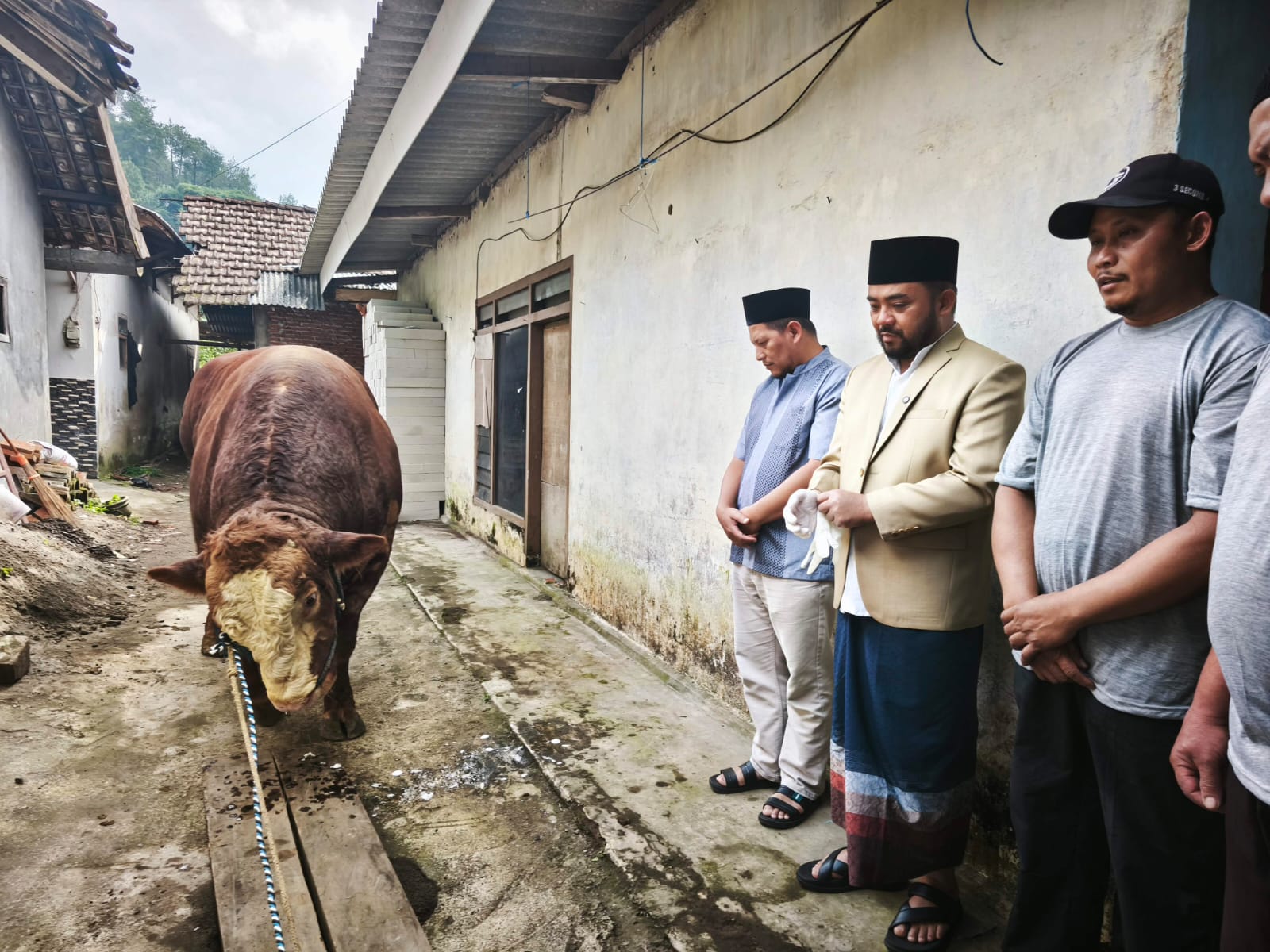 ‎Warga Dusun Brau Kota Batu Antusias Terima Sapi Kurban 1,2 Ton Bantuan Presiden Prabowo 