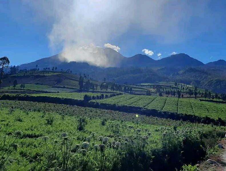 Wisata Brakseng Batu, Negeri di Atas Awan dengan Kebun Sayur dan Hortensia