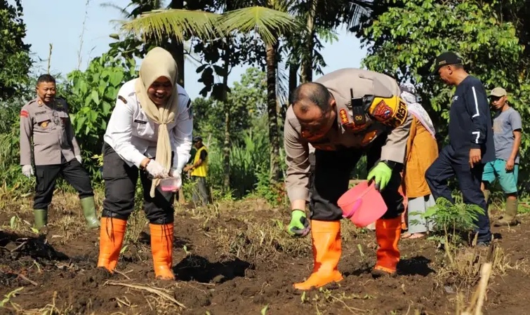 Dukung Program Tanam Jagung di Satu Juta Hektare Lahan, Pemkot Malang Siapkan 80 Hektare 