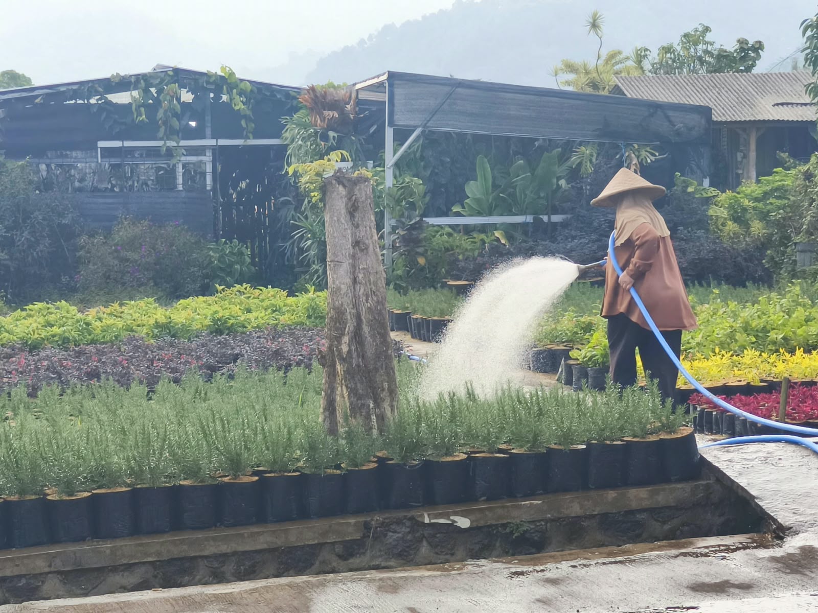 Grand Design Smart Integrated Farming Giripurno Rampung, Batu Siapkan Pertanian Berbasis IoT