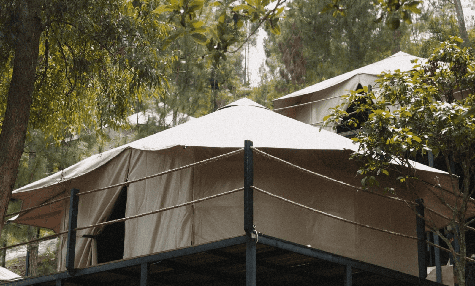 9 Glamping Paling Eksotis di Batu hingga Malang: Dari Tenda Korea hingga Dome Mewah di Lereng Gunung