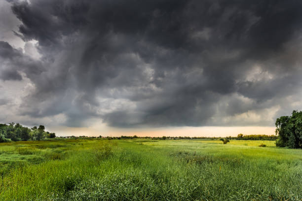 Prakiraan Cuaca Malang Raya 2 Desember 2025: Awan Tebal, Hujan Lokal, Kelembapan Tinggi dan Kabut