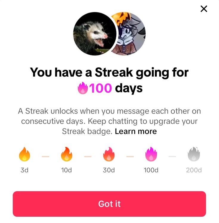 Fenomena Streak di TikTok: Bukti Pertemanan atau Tekanan Sosial yang Bikin Candu?