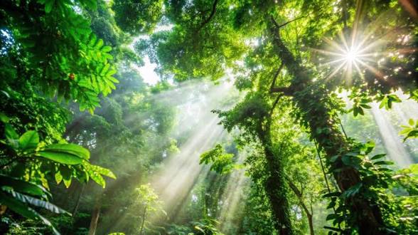 Hari Konservasi Alam 10 Agustus, 568 Kawasan Konservasi Indonesia Hadapi Ancaman Kerusakan