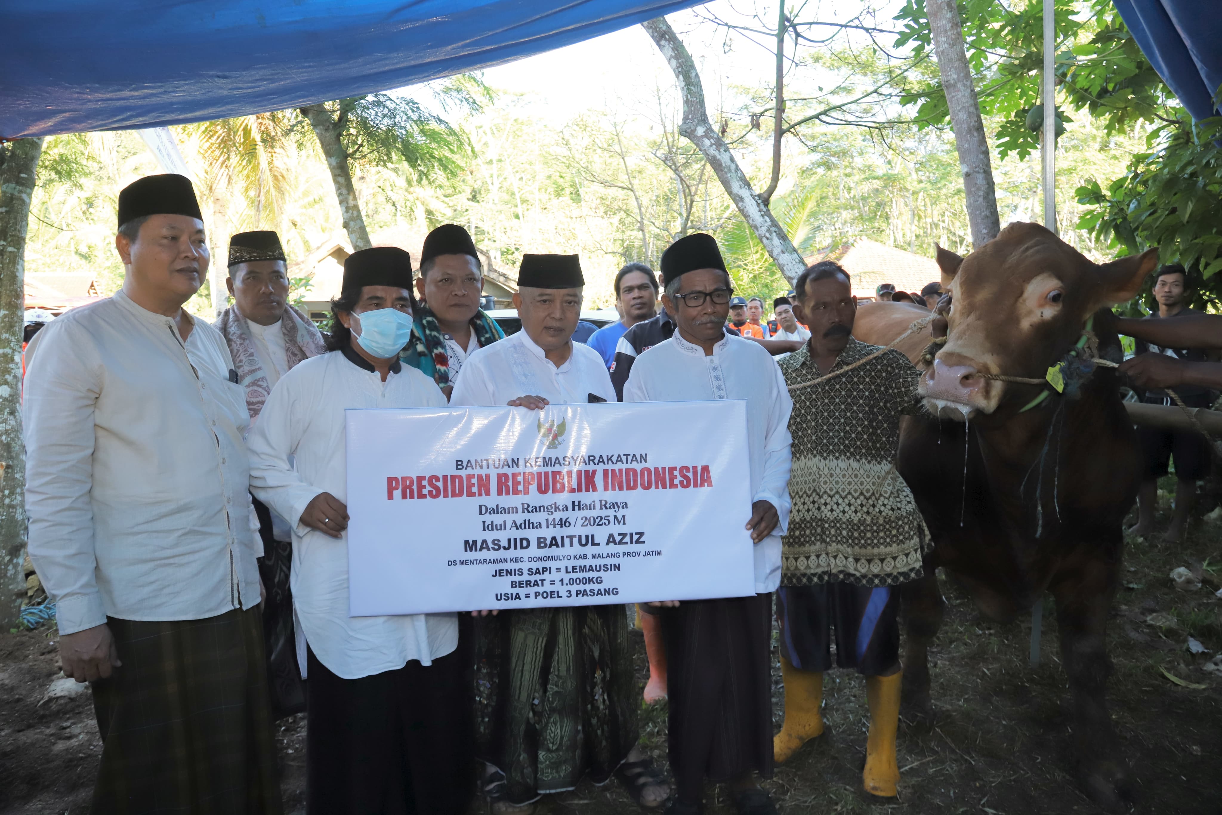 Hewan Kurban dari Presiden Prabowo untuk Kabupaten Malang Diserahkan di Desa Manteraman, Donomulyo
