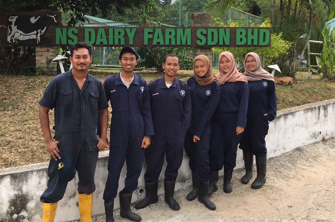 Mahasiswa, Siap-Siap! Magang Berdampak 2025 Dibuka, Ini Jadwal, Persyaratan, dan Cara Daftarnya!