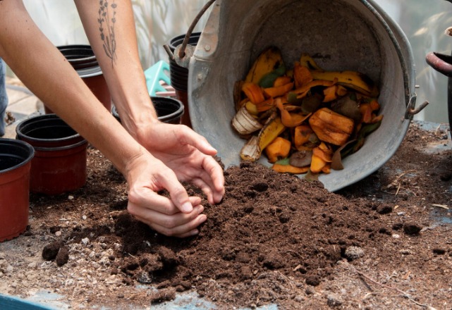 Hemat dan Ramah Lingkungan, Cara Membuat Pupuk Sendiri untuk Urban Farming