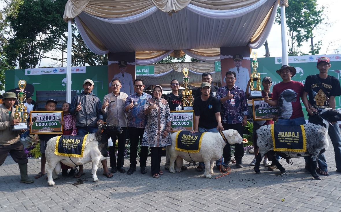 Peternak Ngajum Juarai Kontes Domba dan Kambing HUT ke-24 Kota Batu